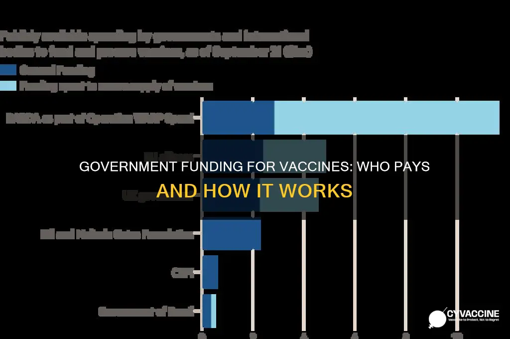 does the government pay for vaccines