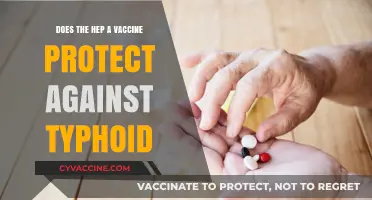 Hep A Vaccine: Effective Guard Against Typhoid?