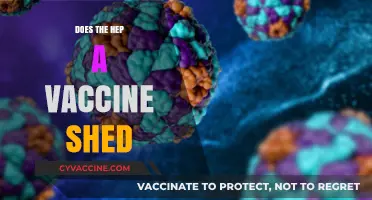 Does the Hep A Vaccine Shed? Debunking Myths and Facts