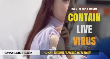 Hep B Vaccine: Live Virus or Not?