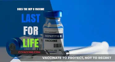 Hep B Vaccine: Lifetime Immunity or Booster Needed?