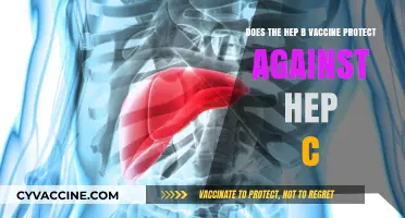Hep B and C: Are Vaccines Effective Against Both?