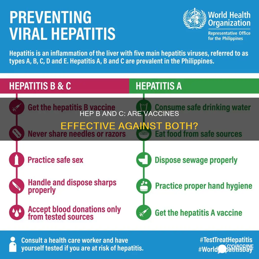 does the hep b vaccine protect against hep c