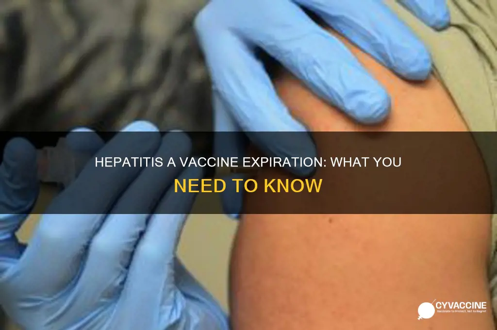 does the hepatitis a vaccine expire