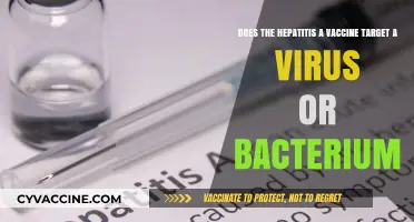 Hepatitis A Vaccine: Targeting a Virus or Bacterium?