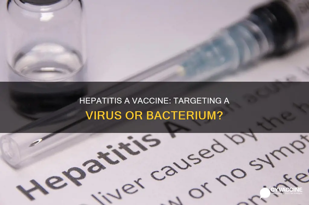 does the hepatitis a vaccine target a virus or bacterium