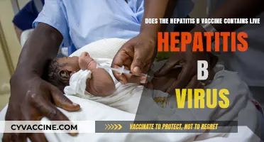 Hepatitis B Vaccine: Live Virus or Not?