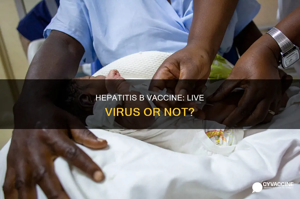does the hepatitis b vaccine contains live hepatitis b virus