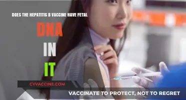 Hepatitis B Vaccine: Fetal DNA Inclusion