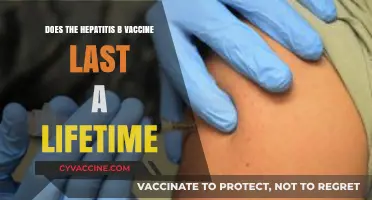 Hepatitis B Vaccine: Lifetime Protection or Booster Needed?