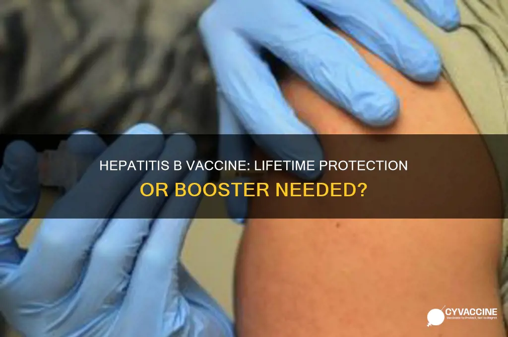 does the hepatitis b vaccine last a lifetime