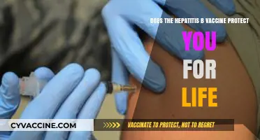 Hepatitis B Vaccine: Lifetime Protection or Booster Needed?