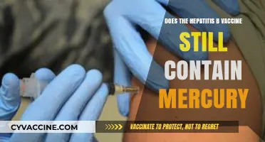 Hepatitis B Vaccine: Mercury-Free and Safe