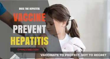 Hepatitis Vaccine: Does It Effectively Prevent Hepatitis Infections?
