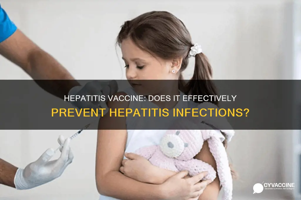 does the hepatitis vaccine prevent hepatitis