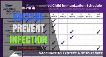 Hib Vaccine: Does It Effectively Prevent Infections in Children?
