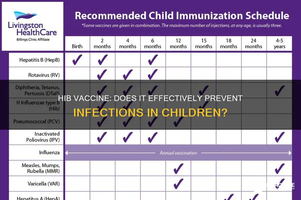 does the hib vaccine prevent infection
