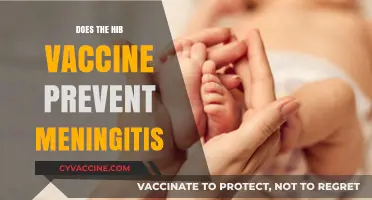 Hib Vaccine: Effective Meningitis Prevention or Just a Myth?