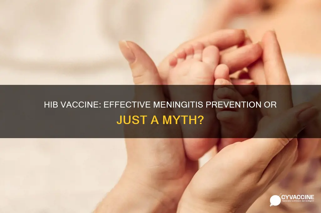 does the hib vaccine prevent meningitis