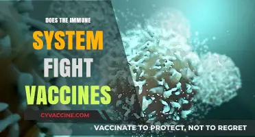 Do Vaccines Weaken Immunity? Debunking Myths About Immune Response