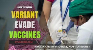 Indian COVID-19 Variant: Vaccine Efficacy and Breakthrough Infections Explained