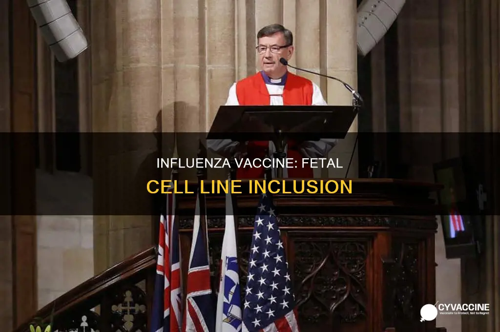 does the influenza vaccine contain fetal cell lines