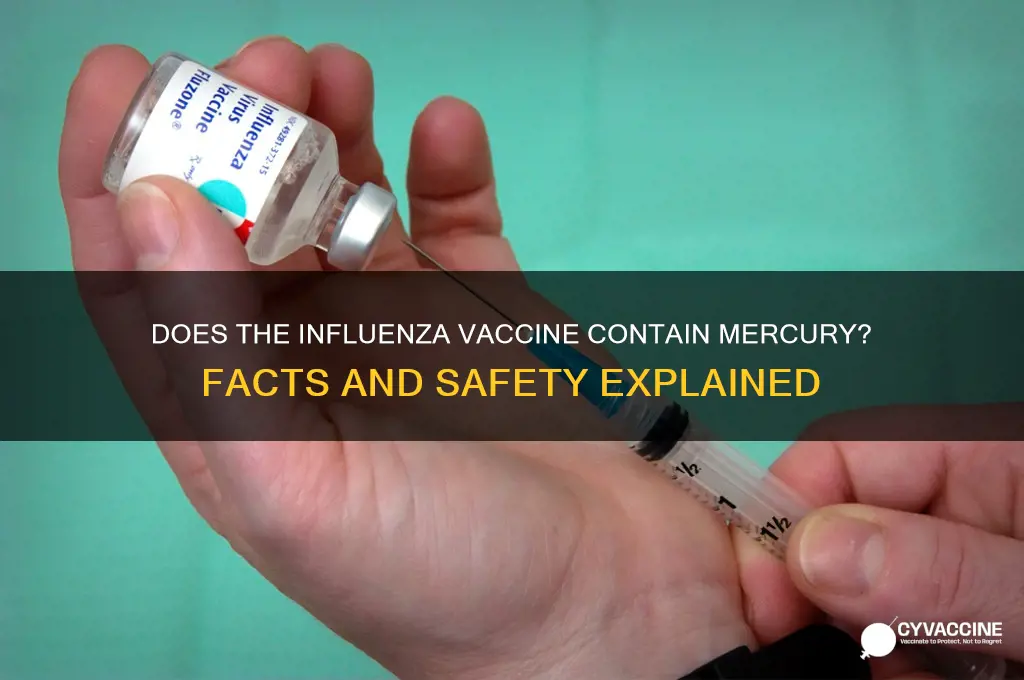 does the influenza vaccine contain mercury