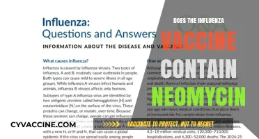 Does the Influenza Vaccine Contain Neomycin? A Detailed Explanation