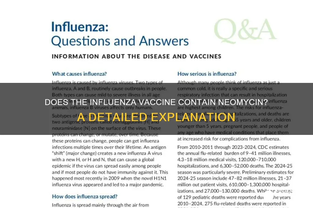 does the influenza vaccine contain neomycin