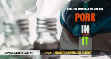 Pork in Flu Vaccines: Fact or Fiction?