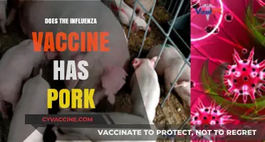 Does the Influenza Vaccine Contain Pork? Facts and Clarifications