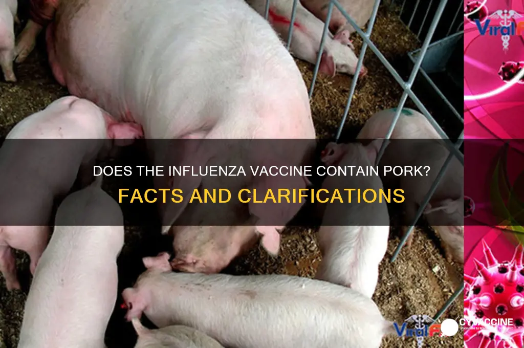 does the influenza vaccine has pork