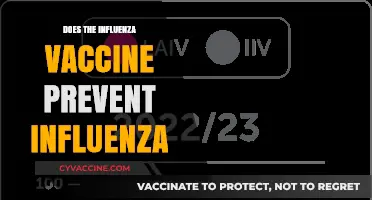 Does the Influenza Vaccine Effectively Prevent Flu Infections?