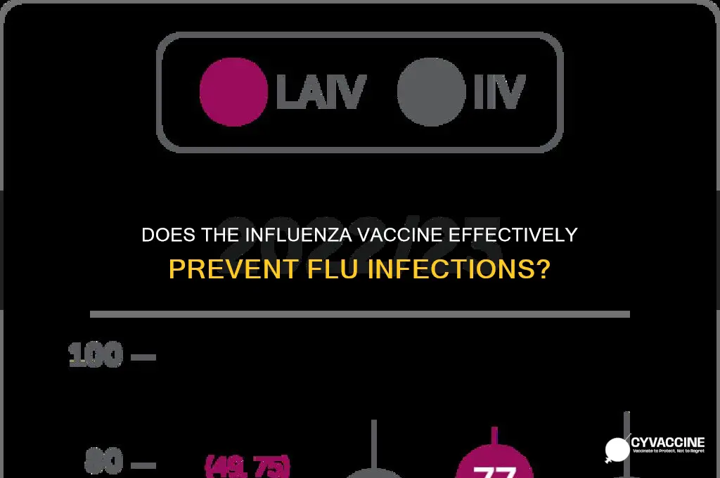 does the influenza vaccine prevent influenza