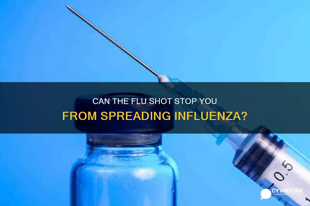 does the influenza vaccine prevent transmission