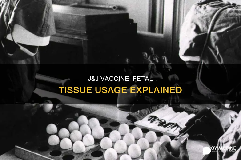 does the j&j vaccine have fetal tissue