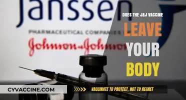 J&J Vaccine: What's the Expiry on This Shot?