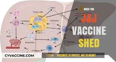J&J Vaccine Shedding: Separating Fact from Fiction and Misconceptions