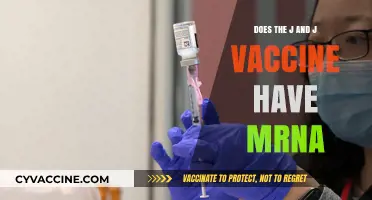 Johnson & Johnson Vaccine: mRNA or Not?