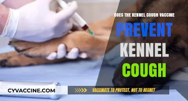 Vaccine Effectiveness: Kennel Cough