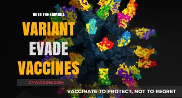Lambda Variant: Vaccine Efficacy Concerns and Protection Against COVID-19