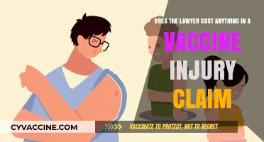 Vaccine Injury Claims: Do Lawyers Cost Anything?