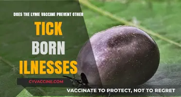 Lyme Vaccine: Preventing Other Tick-Borne Illnesses?
