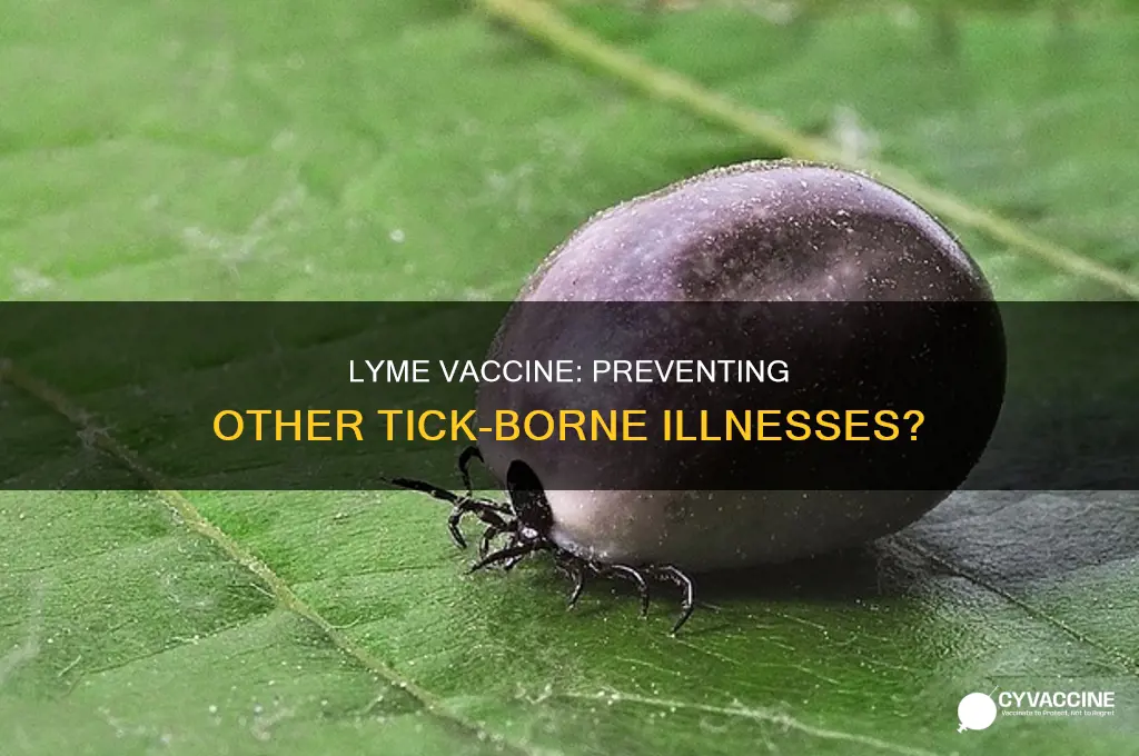 does the lyme vaccine prevent other tick born ilnesses