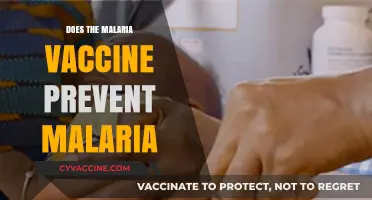 Malaria Vaccine: Does It Effectively Prevent Malaria Infections?