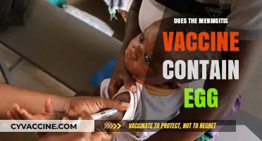 Does the Meningitis Vaccine Contain Egg? Facts and Allergy Concerns