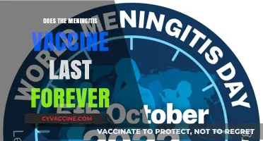 Meningitis Vaccine Longevity: Does Protection Last a Lifetime?