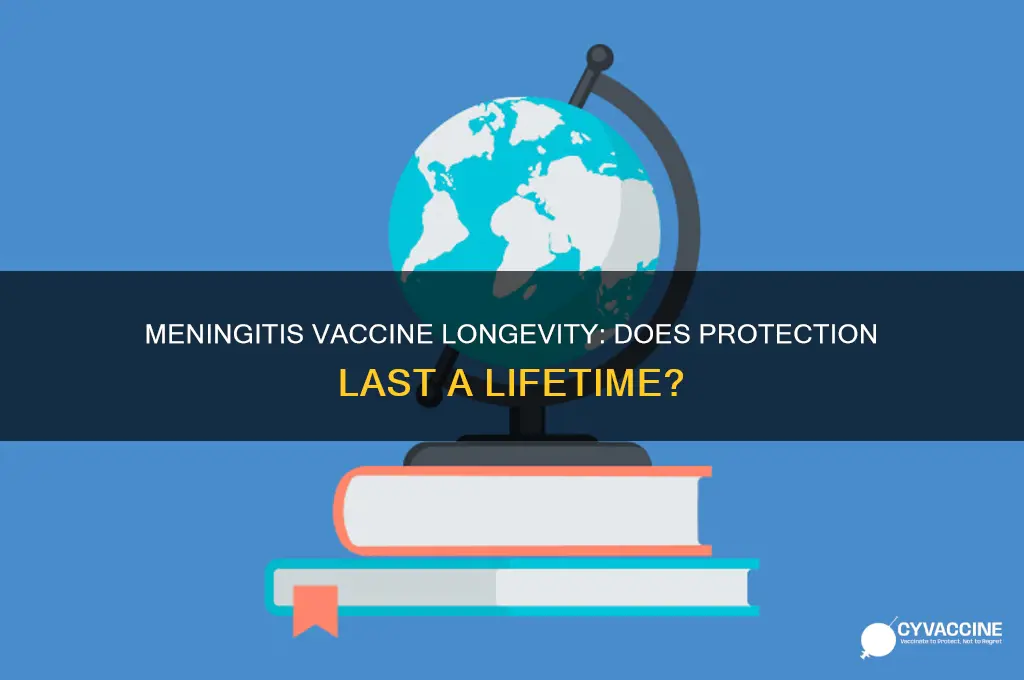 does the meningitis vaccine last forever