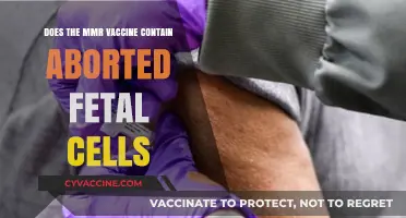 MMR Vaccine: Aborted Fetal Cells Myth