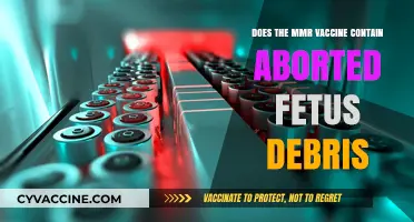 MMR Vaccine: Fetal Cell Line Truth